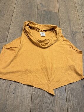 Damselfly Devi Crop